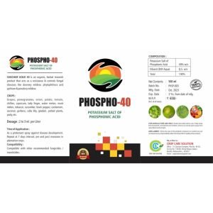 Optimized-6 (1)
