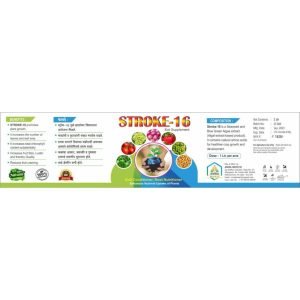 Optimized-9 (1)
